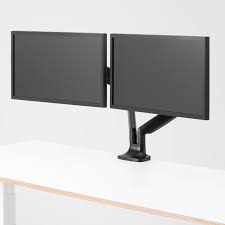 Dual Monitor**photo representation**