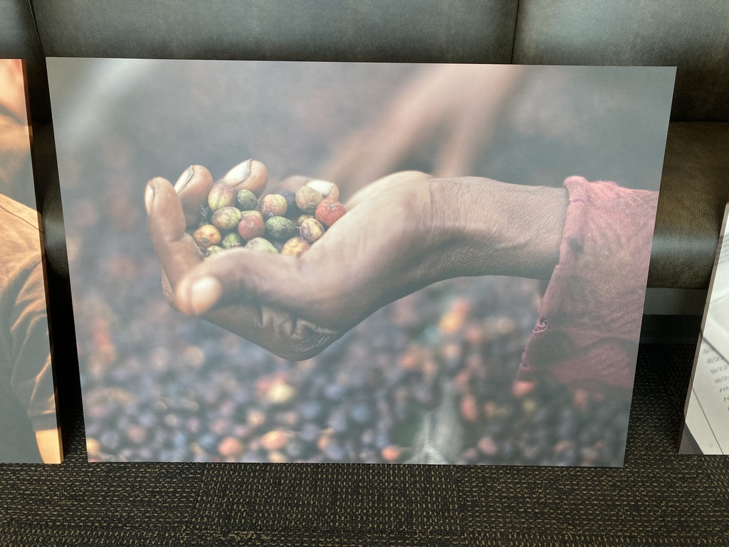 Coffee Beans in Hands 