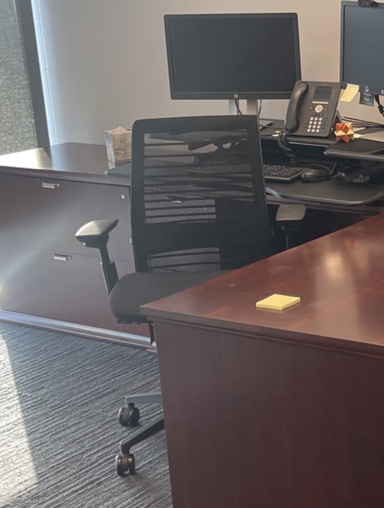 Task Chair - Black, Mesh