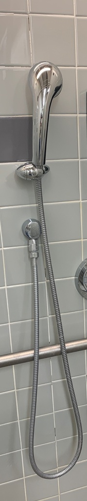 Shower Handle