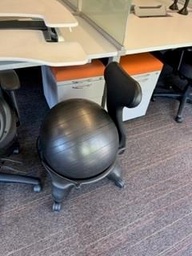 [#B13-123] Roller Ball Chair