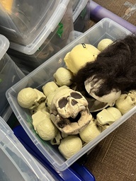 [#I2-72] Bin of plastic skulls, misc.