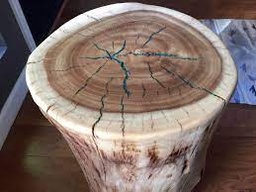[#D17-43] Tree Stump *Photo Representative*