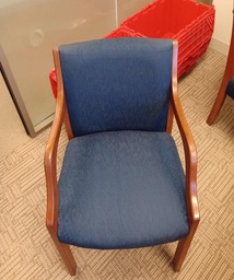 [#B8-231] Guest Blue