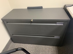 [#D6-209] 2-Drawer File