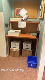 [#E1-89] Peach w/ Top 