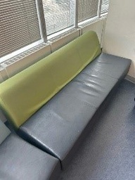 [#B6-5] Green Lounge Sofa