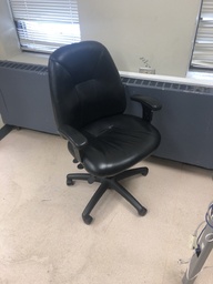 [#B13-195] Task Chair with Arms 