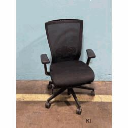 [#B13-18] AITUS - Task Chair w/ Arms, 4 Way Adj H-W-P-D, Lumbar Support