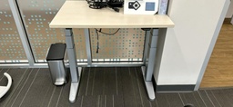 [#E10-102] Adjustable Desk