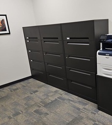 [#D12-10] 5-Drawer File Cabinet