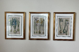 [#J1-23] Artwork - Botany