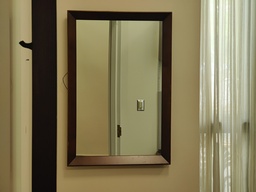 [#J2-353] Mirror 31x21