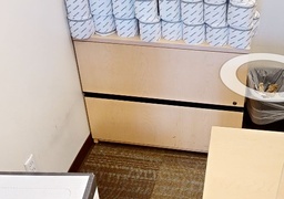 [#D6-8] Light Wood 2-Drawer File Cabinet