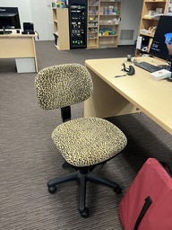 [#B13-15] Cheetah print chair