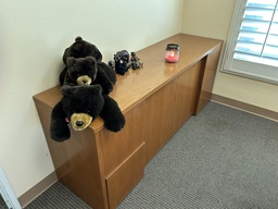 [#D5-42] Credenza