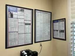 [#J2-60] Posters with frames