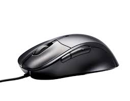 [#H11-37] Photo representation* - Mice