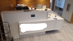 [#E5] Reception Desk