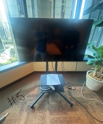 [#H16-5] Television Screen