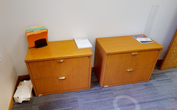 [#D6] 2-Drawer Wooden File Cabinet