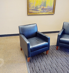 [#B12] Lounge Chair