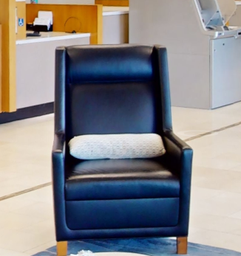 [#B12] Black Lounge Chair