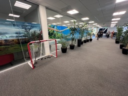 [#I5-25] Hockey goal