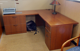 [#E6] L-Shaped Desk