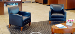 [#B12-3] Lounge Chairs
