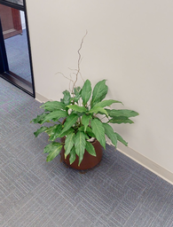 [#J5-4] plant 4