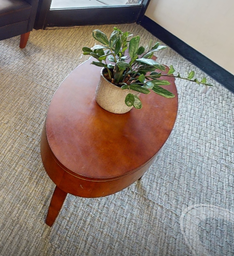 [#C3-10] Oval coffee table