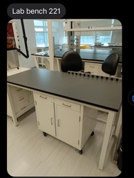 [#E4-221] Lab bench wood