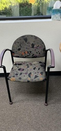 [#B8-24] Guest Chairs, Patterned