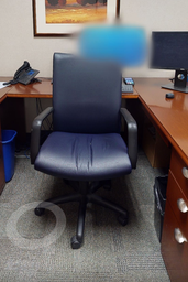 [#B13] Leather task chair