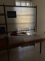 [#C10-31] Display Table Benches