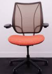 [#B13-8] Task Chair (Rust)