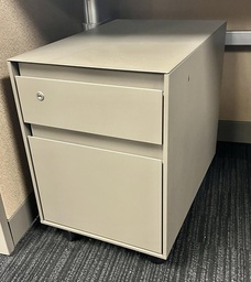 [#D16-30] Mobile Ped