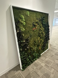 [#J3-22] Plant Display