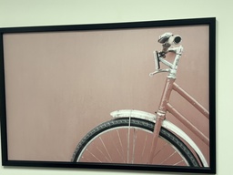 [#J3-9] Pink Bicycle