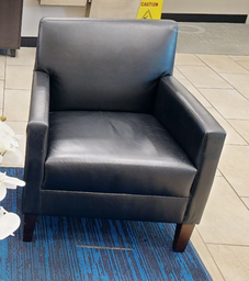 [#B12-3] Black Lounge Chair