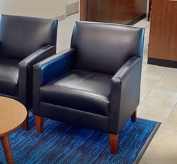 [#B12-3] Black lounge chair