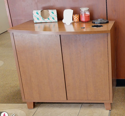 [#D20-8] 2 door wood cabinet