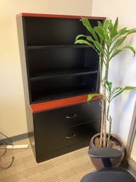 [#D20-129] 36x20x66 CABINET