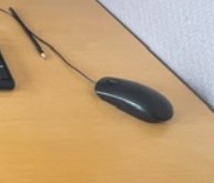 [#H11-126] MOUSE