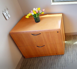 [#D6-8] Wooden file cabinet