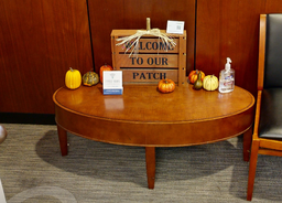 [#C3-10] Oval coffee table