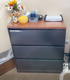 [#D8-11] 3d lateral filing cabinet
