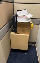 [#D17-134] Maple Cube