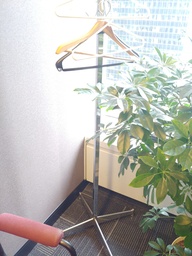 [#I5-36] Assorted Coat Hangers